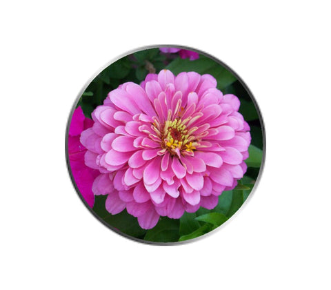 Pink Dahlia Flower Ball Marker
