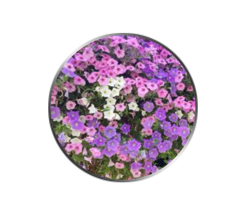 Pink and Purple Flowers Ball Marker