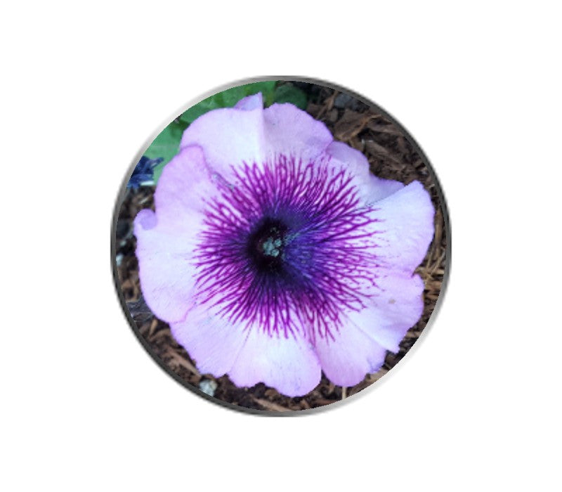 Purple Petunia Flower Ball Marker