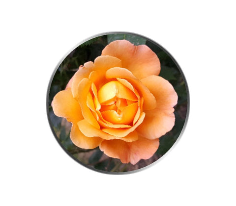 Orange Rose Flower Ball Marker
