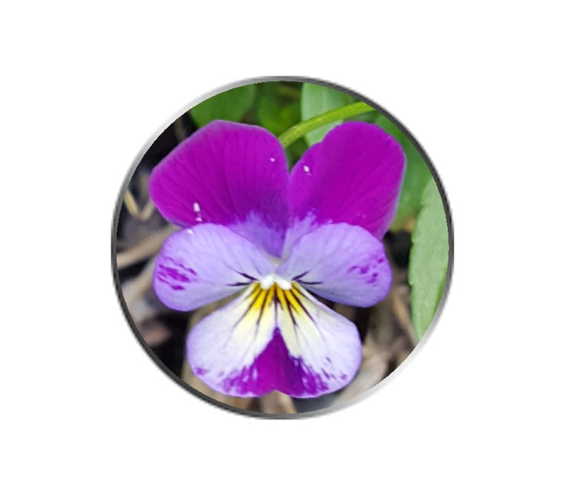 Purple and White Pansy Flower Ball Marker