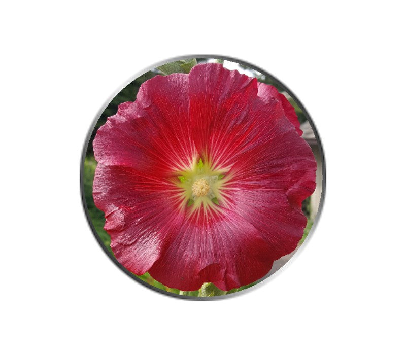 Red Petunia Flower Ball Marker