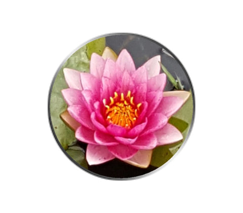 Pink Water Lily Flower Ball Marker