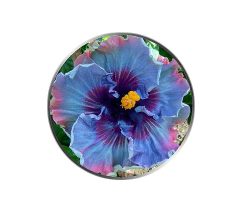 Purple Primrose Flower Ball Marker